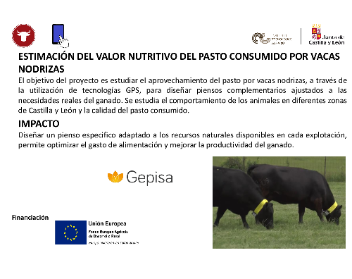 Estación del valor nutritivo del pasto consumido por vacas nodrizas